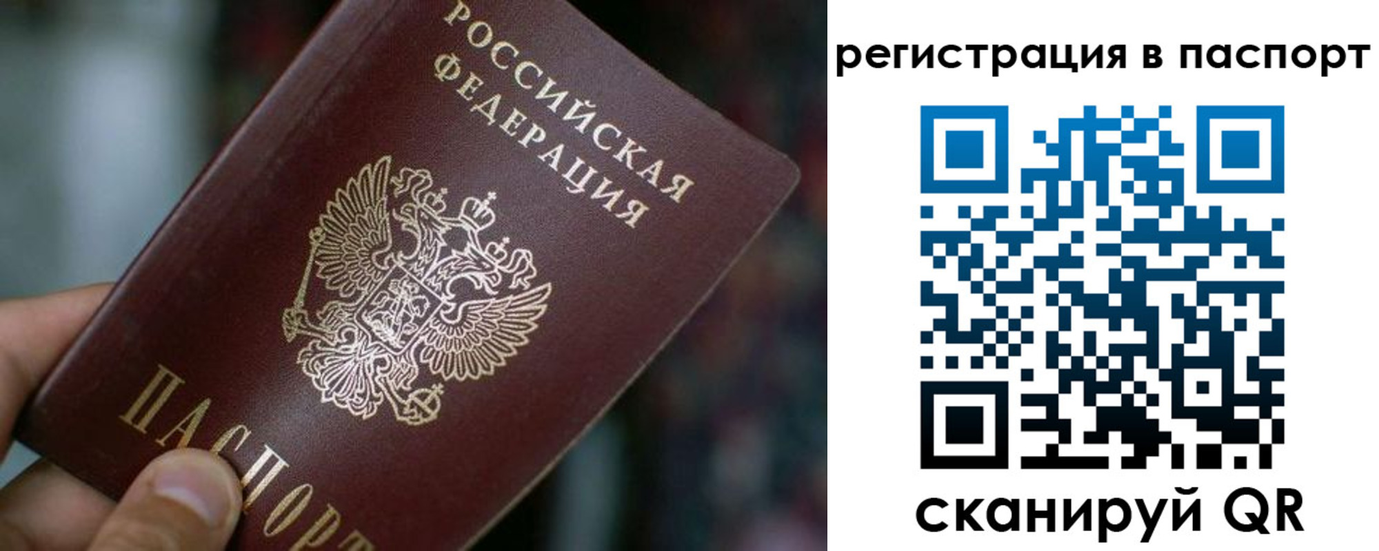 временная регистрация недорого в Железногорске